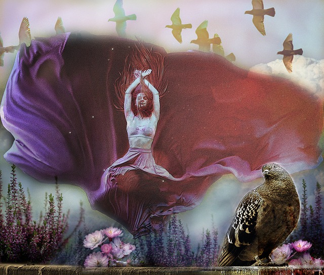 主力球员 主力球员