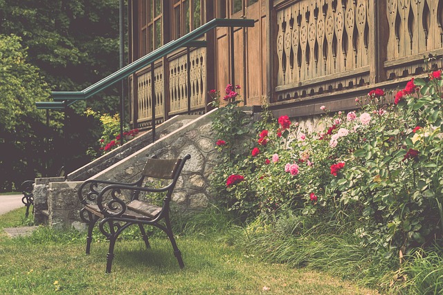 才球员背后 才球员背后