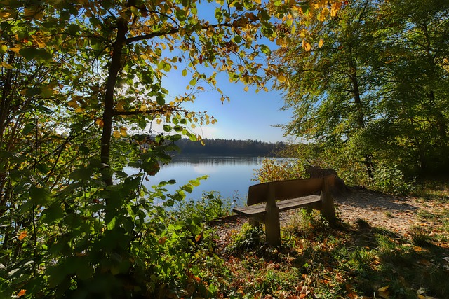 库里的回归 库里的回归